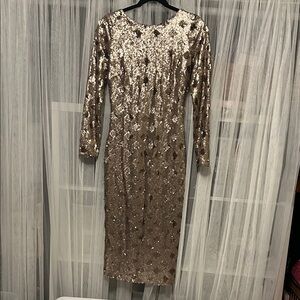 Nwt Dress the Population Elegant Sequin Long Sleeve Dress